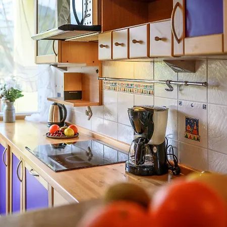 Apartament Vistzakopane Polarny